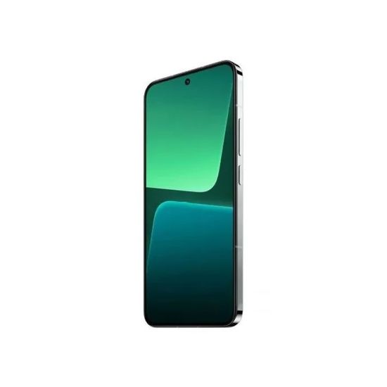 Смартфон Xiaomi 13 5G, 12/256Gb, Flora Green